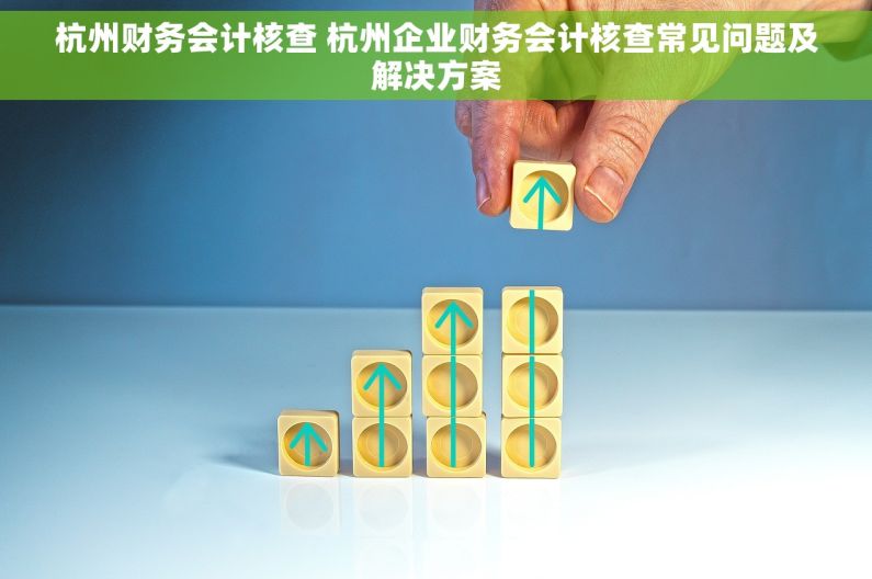 杭州财务会计核查 杭州企业财务会计核查常见问题及解决方案