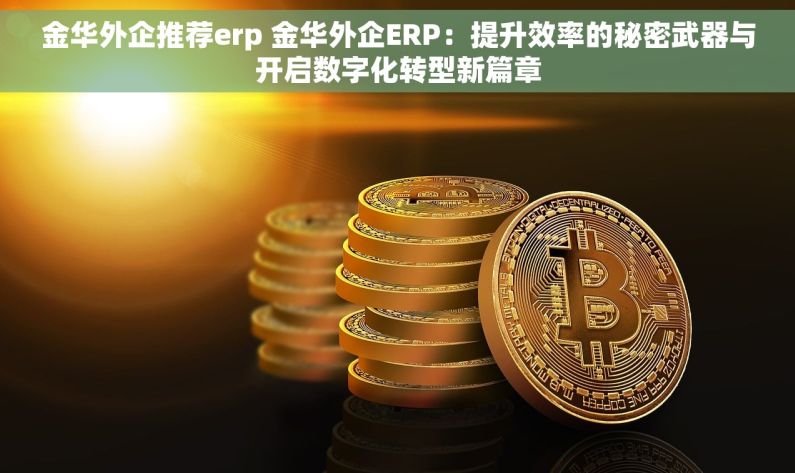 金华外企推荐erp 金华外企ERP：提升效率的秘密武器与开启数字化转型新篇章