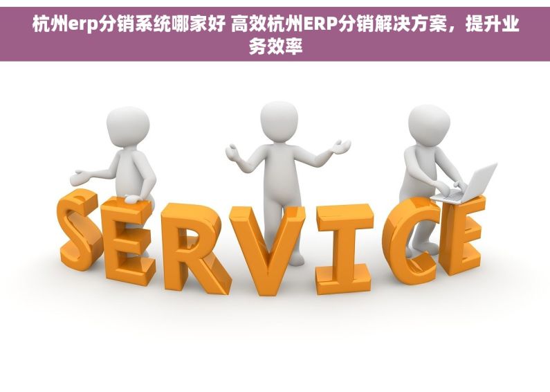 杭州erp分销系统哪家好 高效杭州ERP分销解决方案，提升业务效率