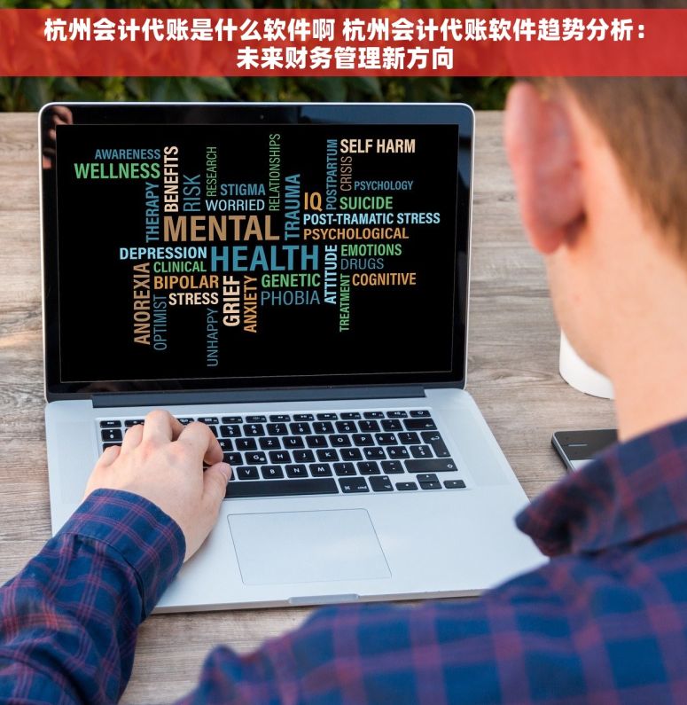 杭州会计代账是什么软件啊 杭州会计代账软件趋势分析：未来财务管理新方向