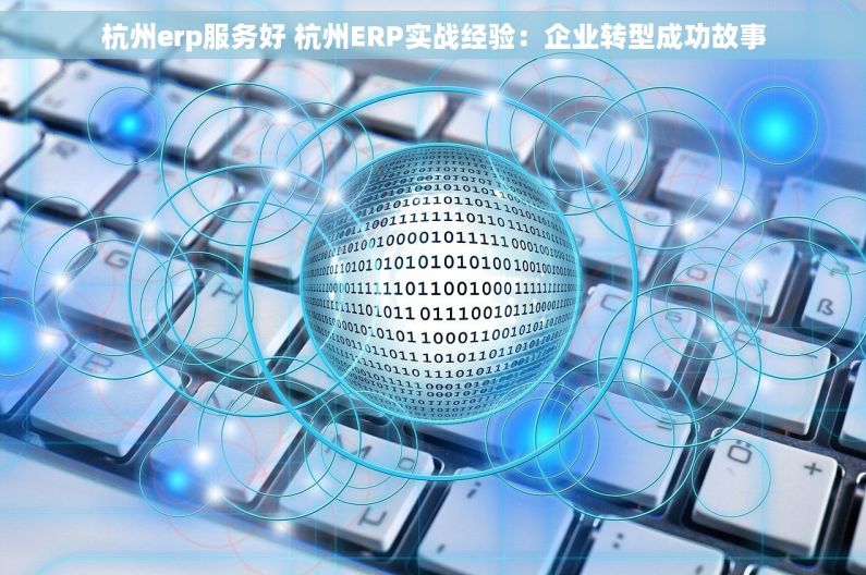 杭州erp服务好 杭州ERP实战经验：企业转型成功故事