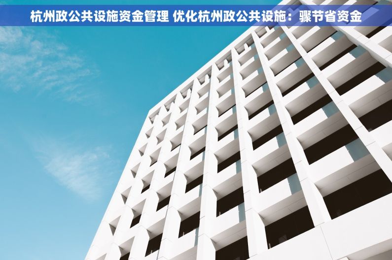 杭州政公共设施资金管理 优化杭州政公共设施：骤节省资金