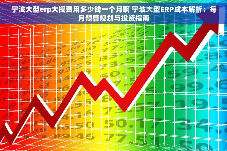 宁波大型erp大概费用多少钱一个月啊 宁波大型ERP成本解析：每月预算规划与投资指南
