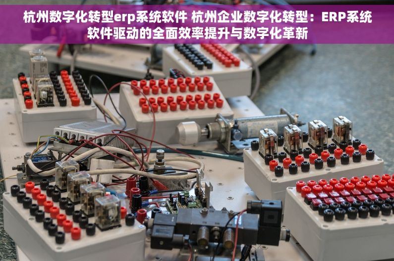 杭州数字化转型erp系统软件 杭州企业数字化转型：ERP系统软件驱动的全面效率提升与数字化革新