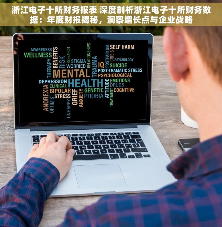 浙江电子十所财务报表 深度剖析浙江电子十所财务数据：年度财报揭秘，洞察增长点与企业战略