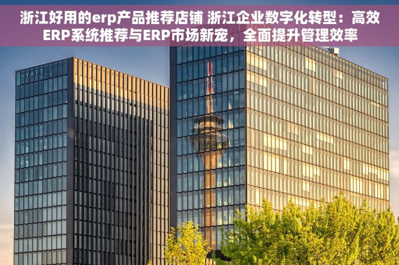 浙江好用的erp产品推荐店铺 浙江企业数字化转型：高效ERP系统推荐与ERP市场新宠，全面提升管理效率