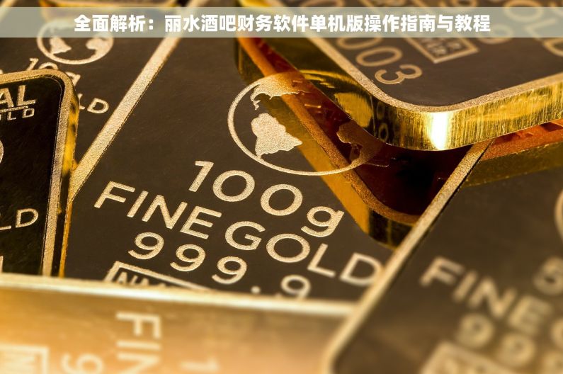 全面解析：丽水酒吧财务软件单机版操作指南与教程