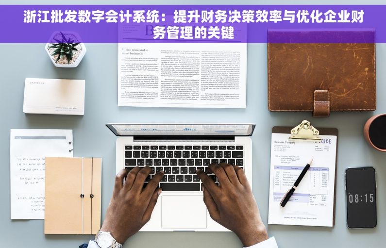 浙江批发数字会计系统：提升财务决策效率与优化企业财务管理的关键
