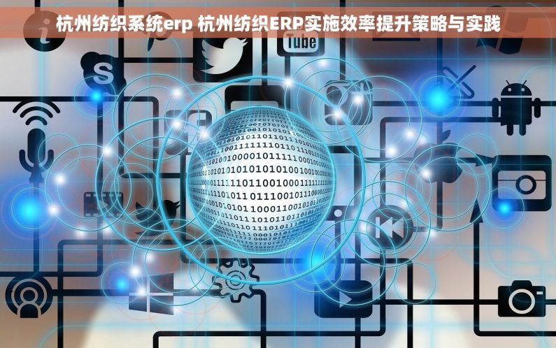杭州纺织系统erp 杭州纺织ERP实施效率提升策略与实践