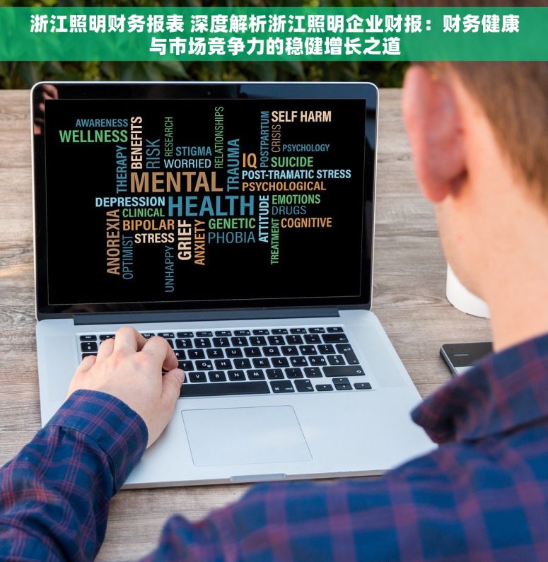 浙江照明财务报表 深度解析浙江照明企业财报：财务健康与市场竞争力的稳健增长之道
