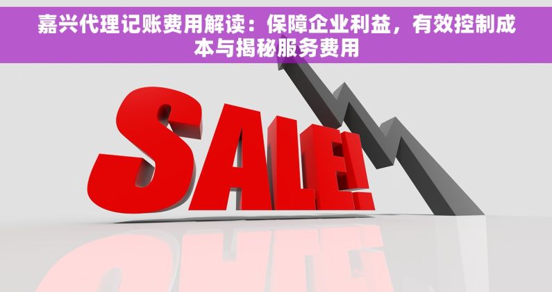 嘉兴代理记账费用解读：保障企业利益，有效控制成本与揭秘服务费用