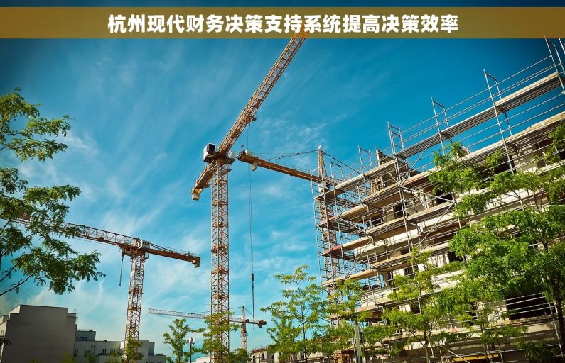 杭州现代财务决策支持系统提高决策效率