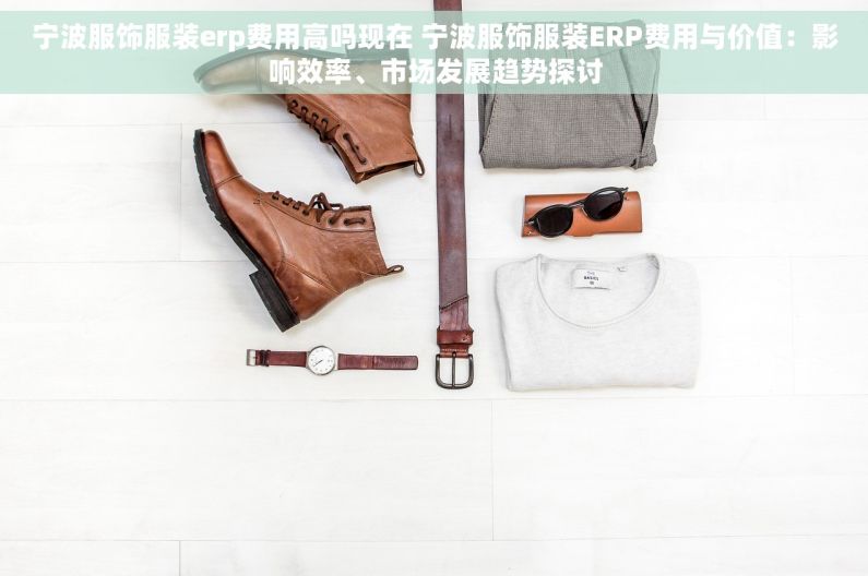 宁波服饰服装erp费用高吗现在 宁波服饰服装ERP费用与价值：影响效率、市场发展趋势探讨