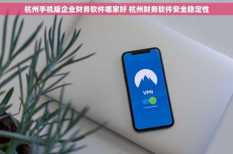 杭州手机版企业财务软件哪家好 杭州财务软件安全稳定性