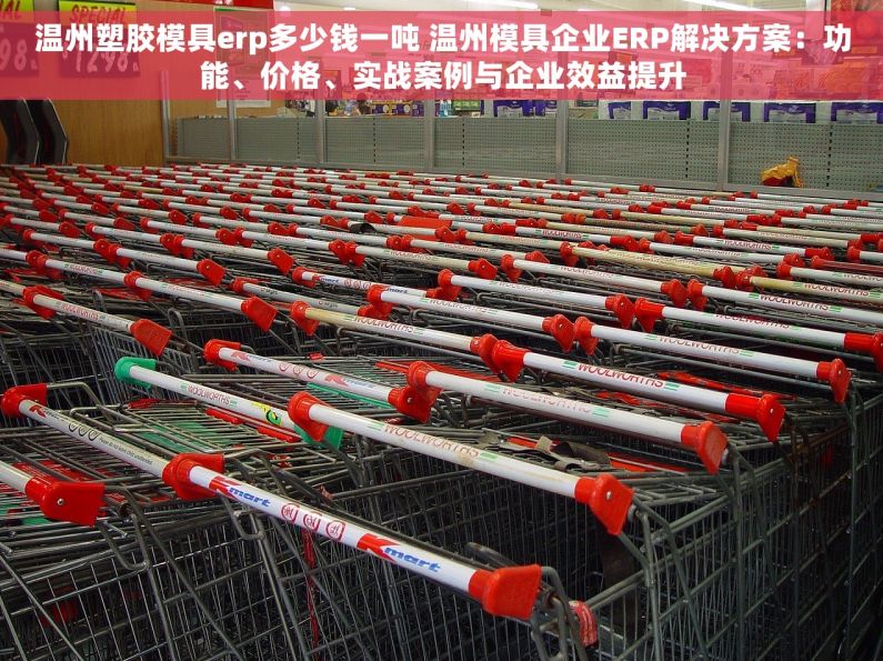 温州塑胶模具erp多少钱一吨 温州模具企业ERP解决方案：功能、价格、实战案例与企业效益提升