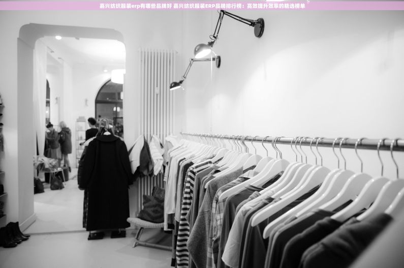 嘉兴纺织服装erp有哪些品牌好 嘉兴纺织服装ERP品牌排行榜：高效提升效率的精选榜单