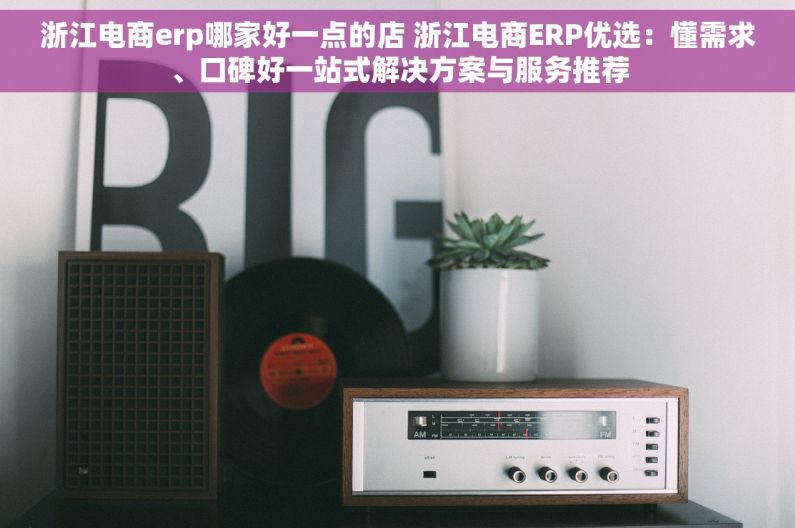 浙江电商erp哪家好一点的店 浙江电商ERP优选：懂需求、口碑好一站式解决方案与服务推荐