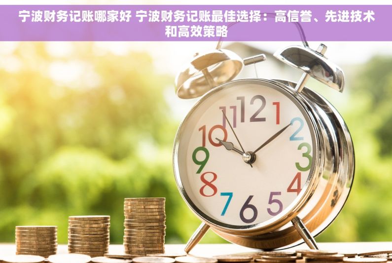 宁波财务记账哪家好 宁波财务记账最佳选择：高信誉、先进技术和高效策略