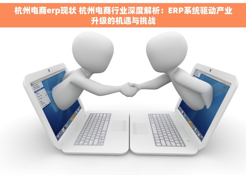 杭州电商erp现状 杭州电商行业深度解析：ERP系统驱动产业升级的机遇与挑战