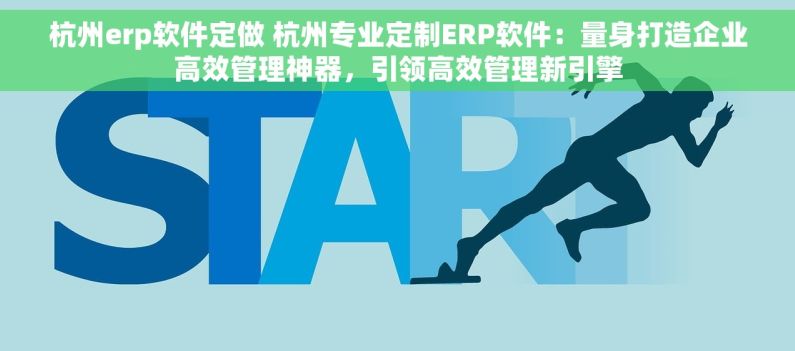 杭州erp软件定做 杭州专业定制ERP软件：量身打造企业高效管理神器，引领高效管理新引擎