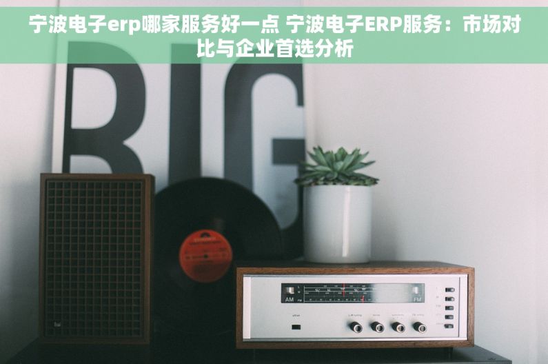 宁波电子erp哪家服务好一点 宁波电子ERP服务：市场对比与企业首选分析