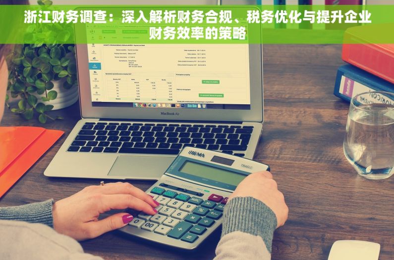 浙江财务调查：深入解析财务合规、税务优化与提升企业财务效率的策略