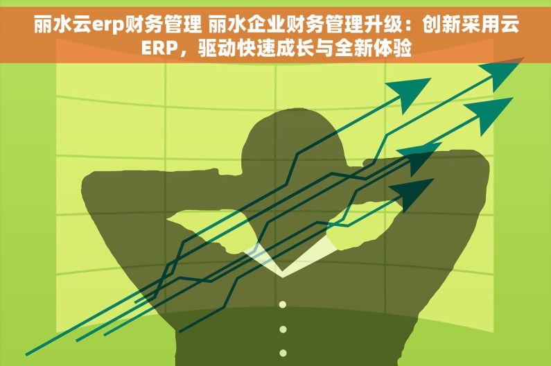 丽水云erp财务管理 丽水企业财务管理升级：创新采用云ERP，驱动快速成长与全新体验