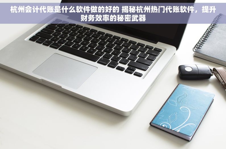 杭州会计代账是什么软件做的好的 揭秘杭州热门代账软件，提升财务效率的秘密武器