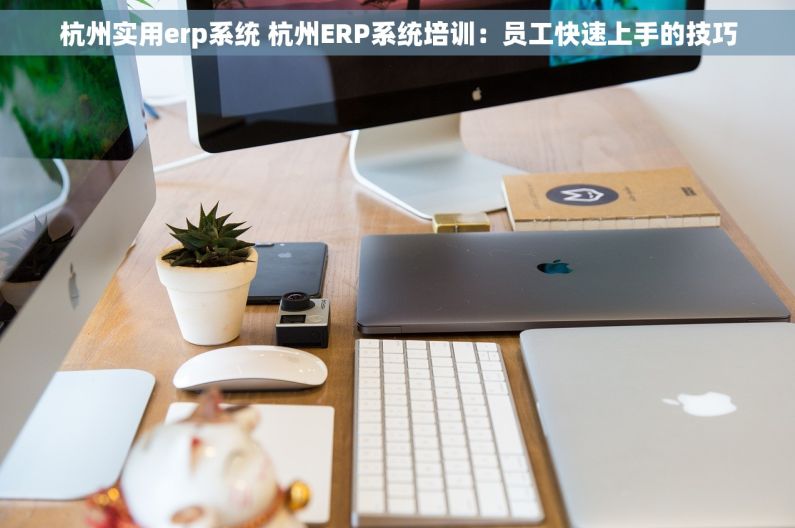 杭州实用erp系统 杭州ERP系统培训：员工快速上手的技巧