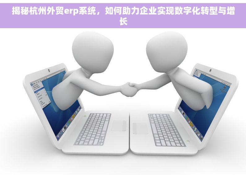 揭秘杭州外贸erp系统，如何助力企业实现数字化转型与增长