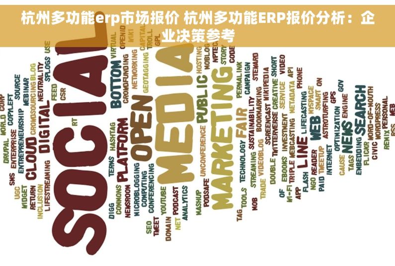 杭州多功能erp市场报价 杭州多功能ERP报价分析：企业决策参考
