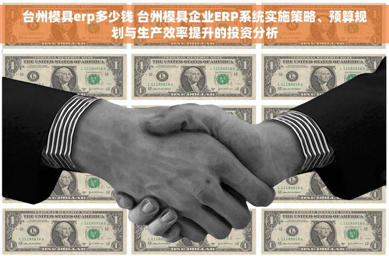 台州模具erp多少钱 台州模具企业ERP系统实施策略、预算规划与生产效率提升的投资分析