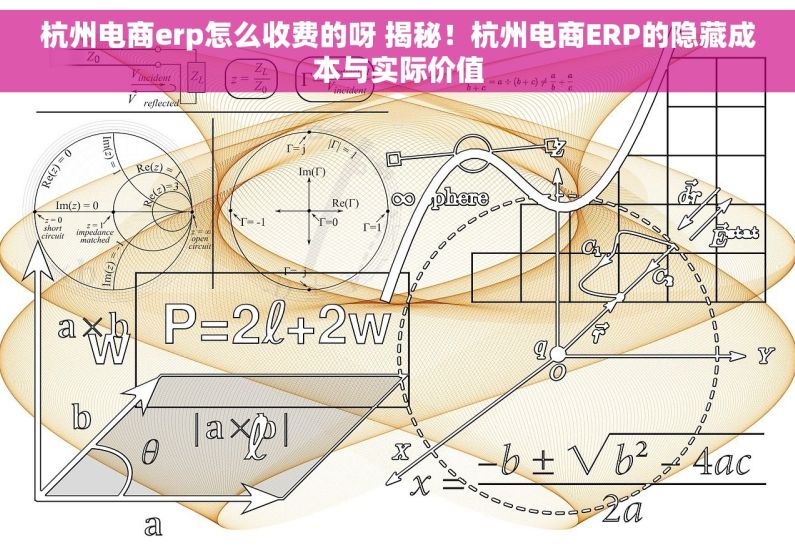 杭州电商erp怎么收费的呀 揭秘！杭州电商ERP的隐藏成本与实际价值