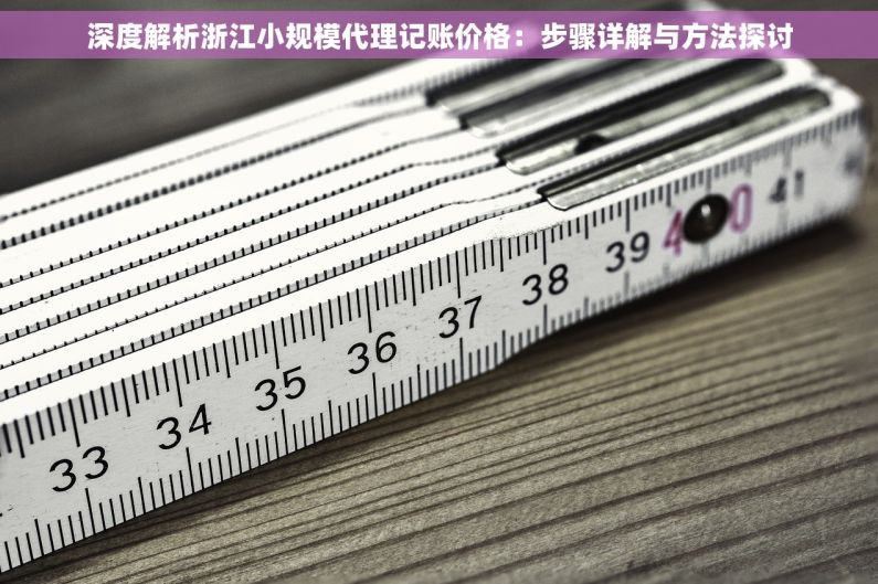 深度解析浙江小规模代理记账价格：步骤详解与方法探讨