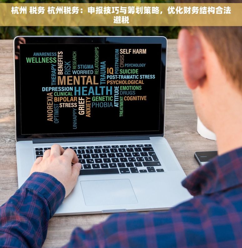 杭州 税务 杭州税务：申报技巧与筹划策略，优化财务结构合法避税
