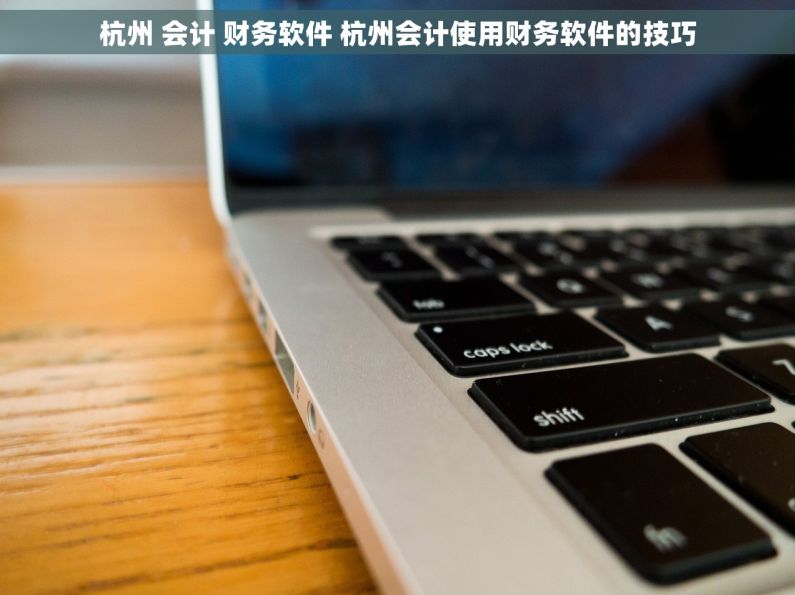 杭州 会计 财务软件 杭州会计使用财务软件的技巧