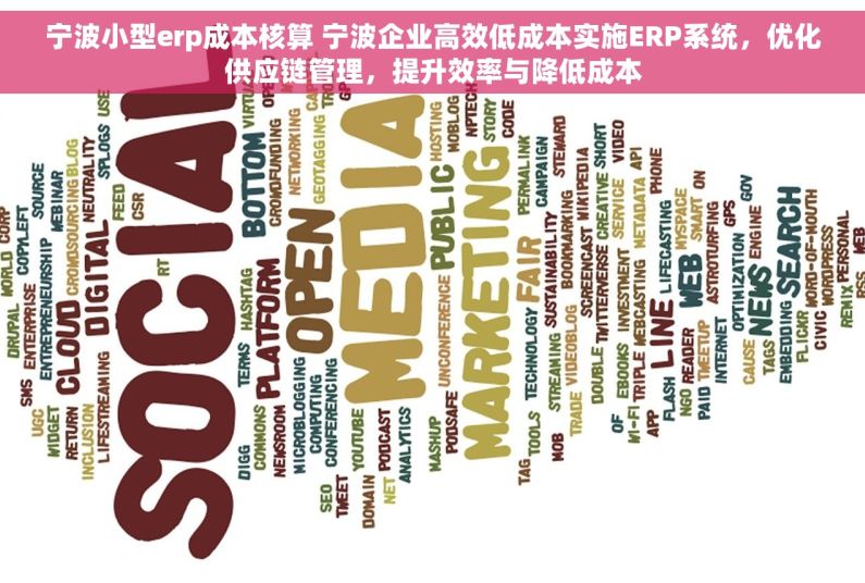 宁波小型erp成本核算 宁波企业高效低成本实施ERP系统，优化供应链管理，提升效率与降低成本