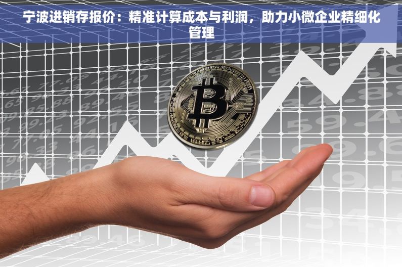 宁波进销存报价：精准计算成本与利润，助力小微企业精细化管理
