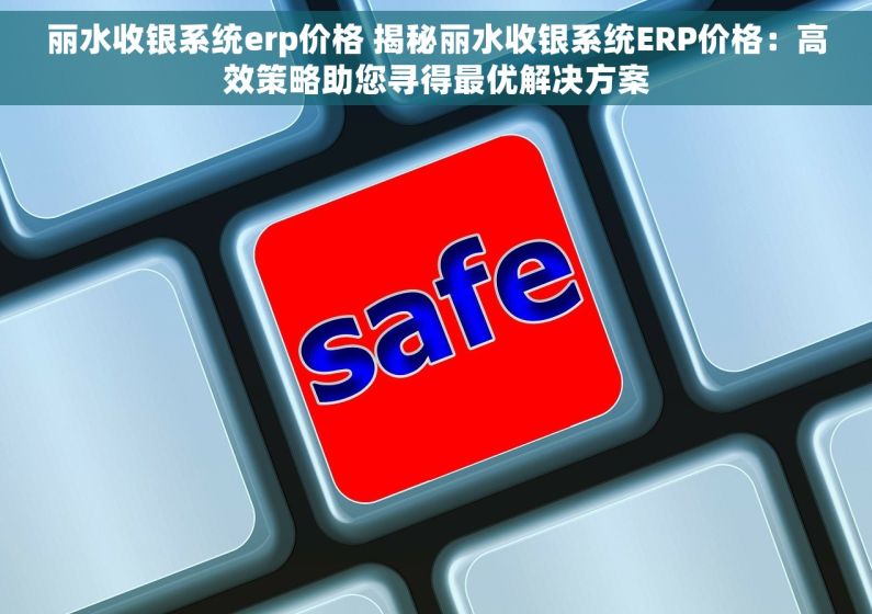 丽水收银系统erp价格 揭秘丽水收银系统ERP价格：高效策略助您寻得最优解决方案