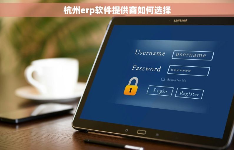 杭州erp软件提供商如何选择