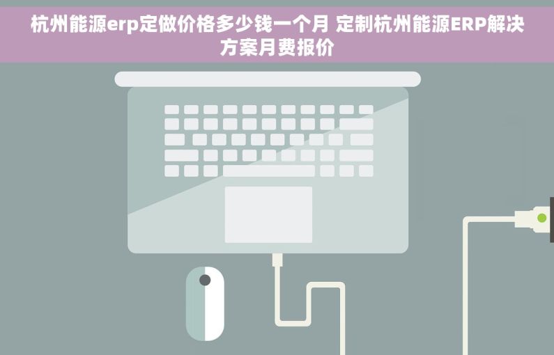 杭州能源erp定做价格多少钱一个月 定制杭州能源ERP解决方案月费报价