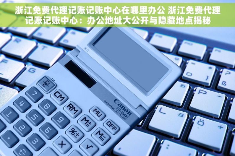 浙江免费代理记账记账中心在哪里办公 浙江免费代理记账记账中心：办公地址大公开与隐藏地点揭秘