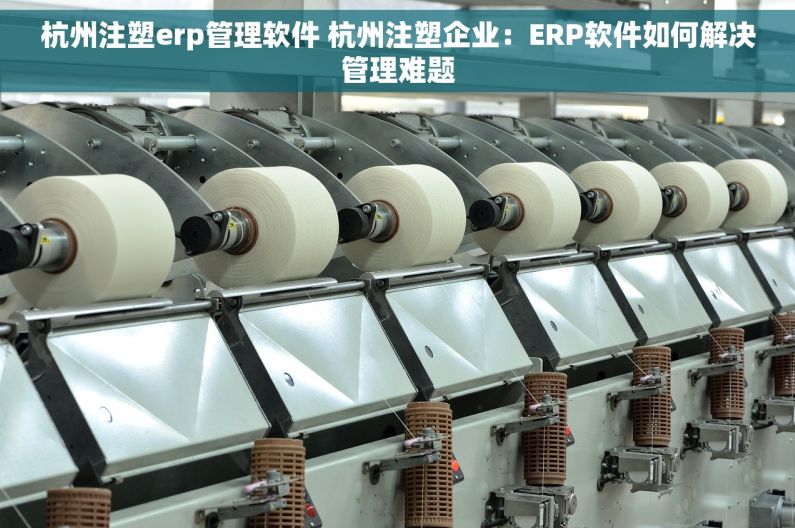 杭州注塑erp管理软件 杭州注塑企业：ERP软件如何解决管理难题