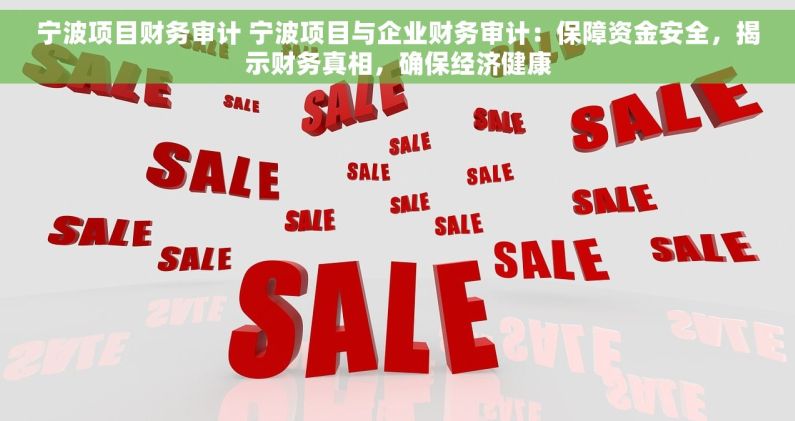 宁波项目财务审计 宁波项目与企业财务审计：保障资金安全，揭示财务真相，确保经济健康