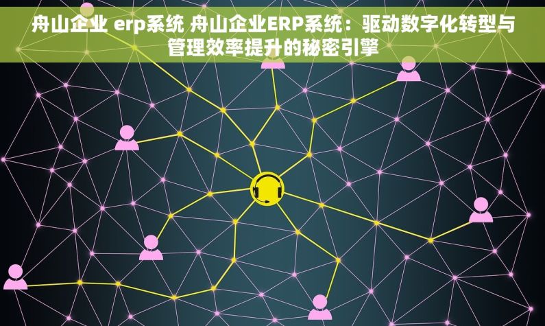 舟山企业 erp系统 舟山企业ERP系统：驱动数字化转型与管理效率提升的秘密引擎