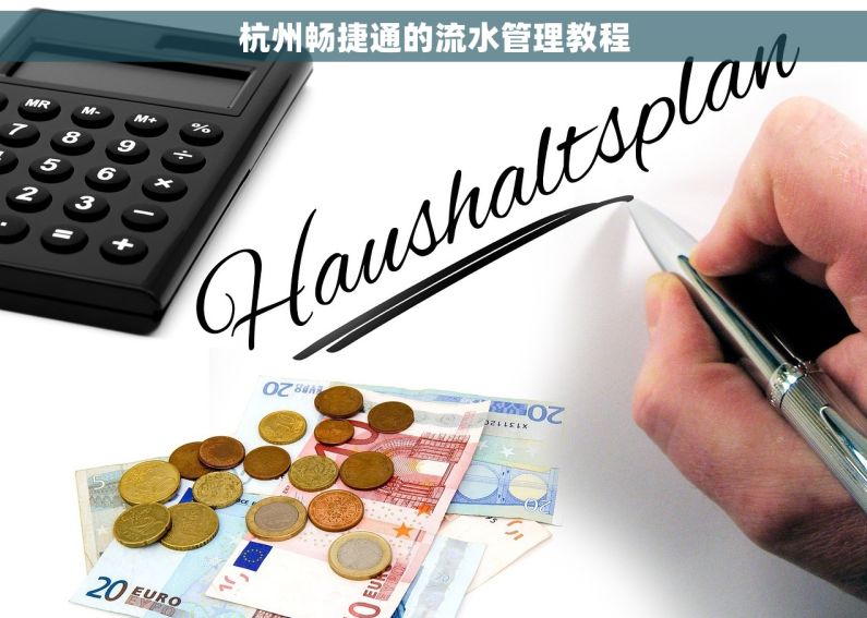 杭州畅捷通的流水管理教程