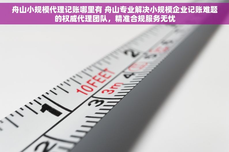 舟山小规模代理记账哪里有 舟山专业解决小规模企业记账难题的权威代理团队，精准合规服务无忧
