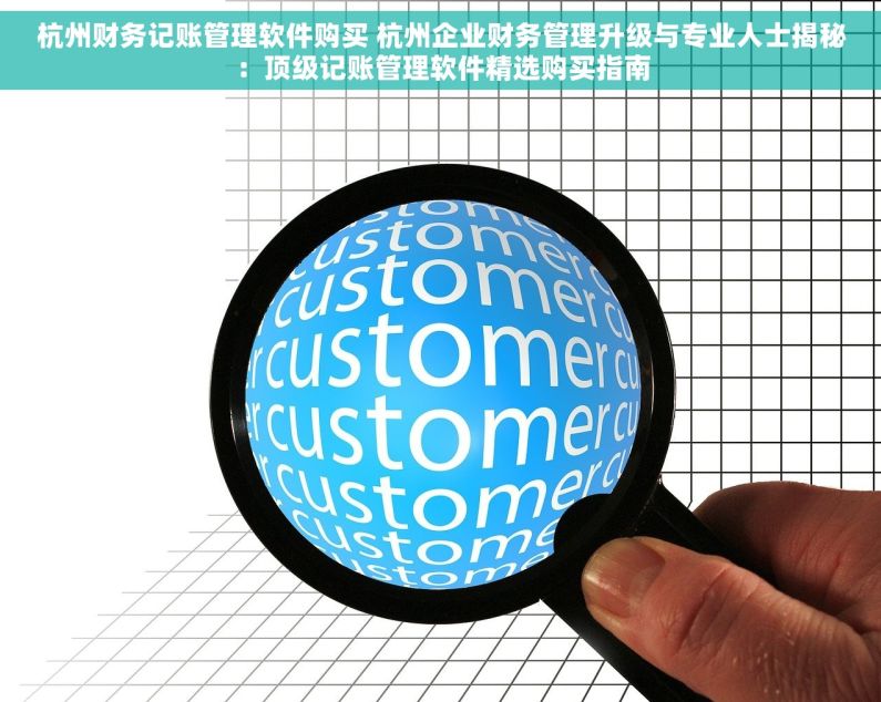 杭州财务记账管理软件购买 杭州企业财务管理升级与专业人士揭秘：顶级记账管理软件精选购买指南