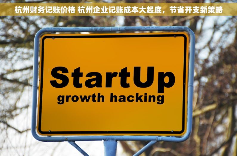 杭州财务记账价格 杭州企业记账成本大起底，节省开支新策略