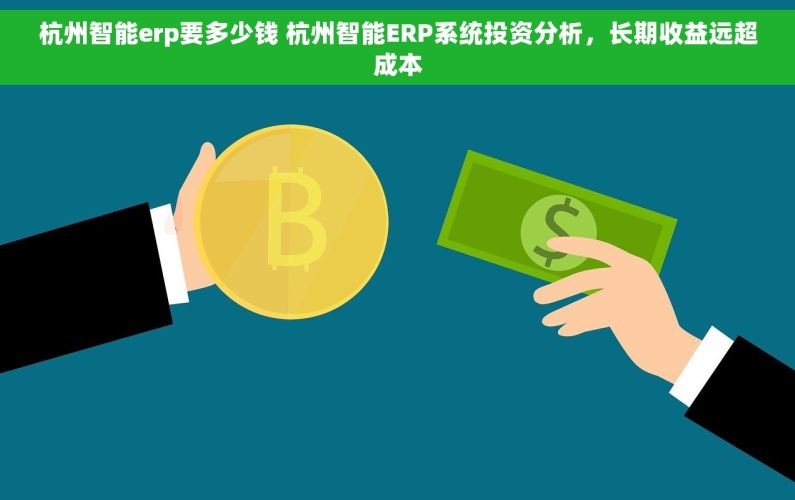 杭州智能erp要多少钱 杭州智能ERP系统投资分析，长期收益远超成本